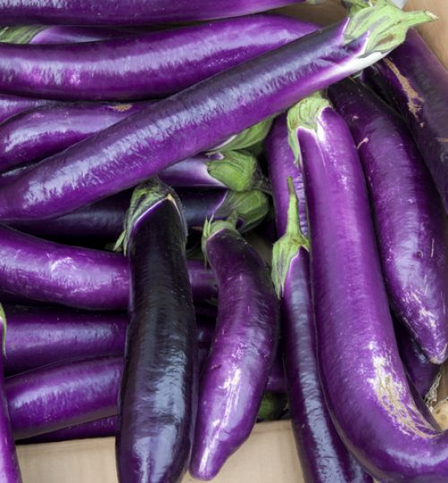 Close-uo of group Asian Eggplants for sale at street market in Kashgar, Xinjiang province, China