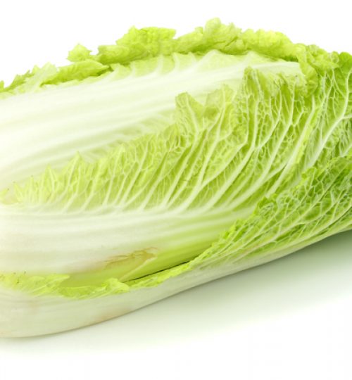 chinese cabbage isolated on a white background